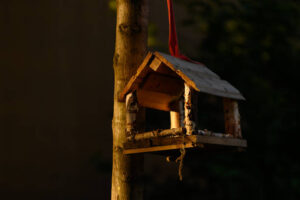 Futterhaus für Vögel